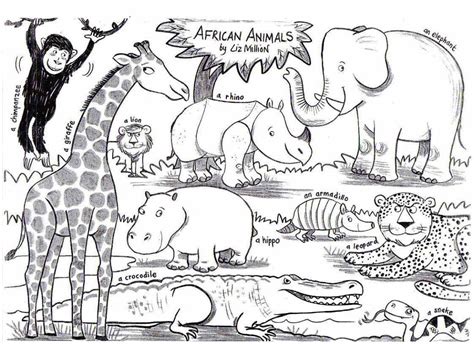 image result  african animals coloring  images animal