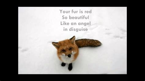 fox lyrics  ylvis youtube