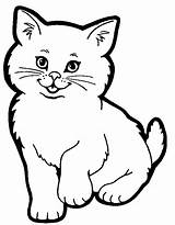 Malvorlagen Katze Katzen Ausmalbild Babykatze Malvorlage Onlycoloringpages Zeichnen sketch template