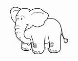 Elefante Africano Elefantes Colorare Selva Disegni Cdn5 Animais Facil sketch template