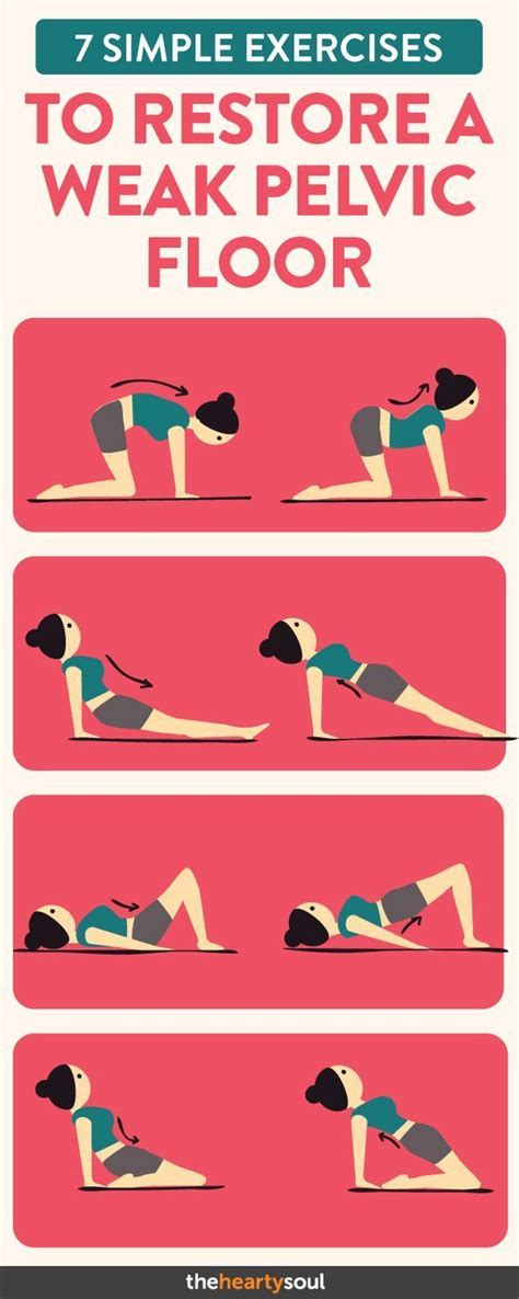 7 Simple Exercises To Restore A Weak Pelvic Floor Easy Workouts