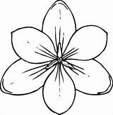 Bunga Sketsa Kolase Terkeren Harian Nusantara sketch template