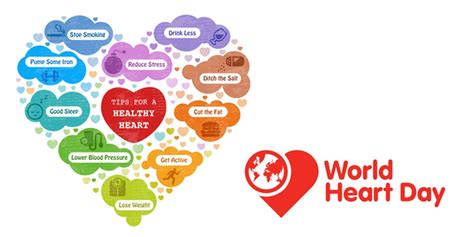 raghus column world heart day  healthy lifestyle leads
