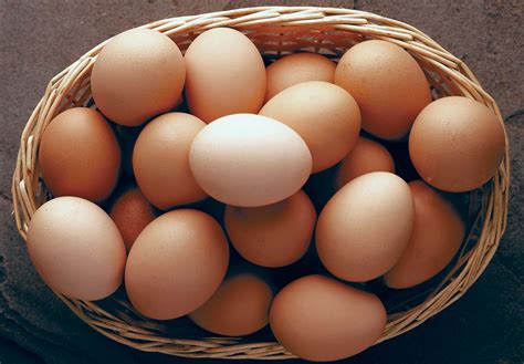 produtos er distribuidora de ovos variedade de ovos