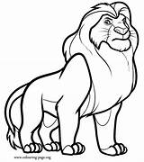 Coloring Lion Pages Witch Wardrobe Popular sketch template