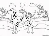 Dalmatian Druku Kolorowanki Piesek Kotek Wydrukuj Kolorowankę sketch template