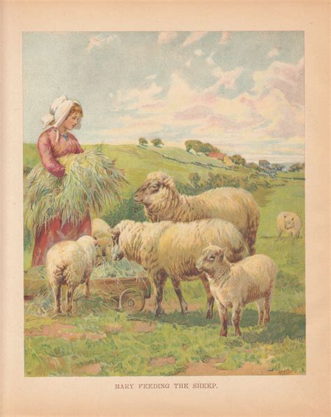 lady feeding sheep  lamb  meadow antique lithograph sheep etsy sheep art flower prints
