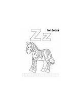 Coloring Handwriting Practice Zebra Zz Letter Zinnia Printable Pages sketch template