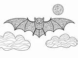 Pipistrello Adulti Vettore sketch template