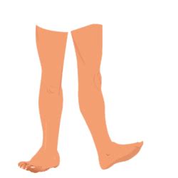 legs diagram learn parts   body  image