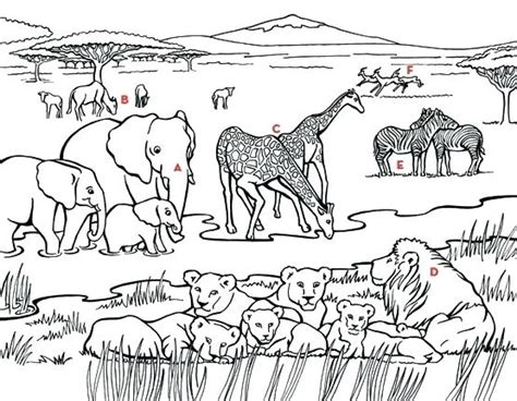 grassland coloring page images