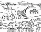 Coloring Grassland Safari Pages African Ecosystem Drawing Grasslands Animals Print Color Printable Afrikaans Africa Ancient Trees Getcolorings Getdrawings Savanna Kids sketch template
