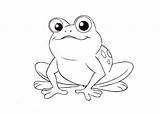 Frosch Ausmalbild Vorlagen Geburtstag Rana Ranitas Apoyo Materiales Semana Toad Frogs Entrechiquitines Template Onlycoloringpages Onlinecoloringpages Siwicadilly sketch template
