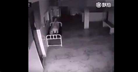 Terrifying Footage Taken By A Hospital Security Cameras Just After A