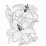 Bud Monochrome Lilies sketch template