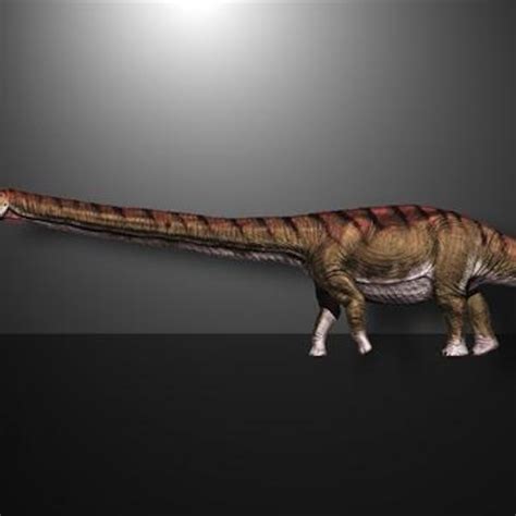 largest creature   exist  earth  earth images revimageorg