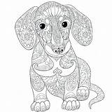 Dog Coloring Pages Wiener Sausage Weiner Color Getcolorings Dachshund Printable Getdrawings Drawing Print sketch template