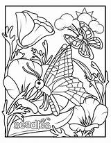 Pollinators Curriculum Seedles sketch template