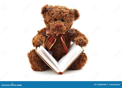 teddy bear   book isolated  white stock photo image  stuffed