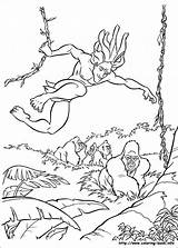 Tarzan Coloriage Ausmalbilder Colorare Colorier Ausmalbild Coloriages Malvorlagen Animation Kolorowanki Coloriez Sheets Bojanke Tes Choisis Animationsource Nazad Enfant Druku Desenhosparacolorir sketch template