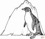 Ausmalbilder Pinguin Eisberg Ausmalbild sketch template