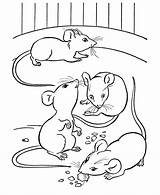 Coloring Pages Cheese Animal Farm Printable Visit Mice sketch template