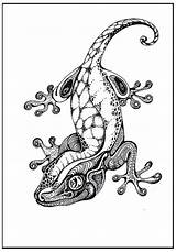 Gecko Lizard Zentangle Margouillat Colorier Graphique Pyrogravure Graphiques sketch template