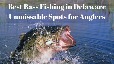 bass fishing  delaware unmissable spots  anglers