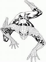 Spiderman Adults 101coloring sketch template