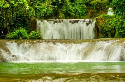 Top 20 Things To Do In Jamaica For Nature Lovers Ecotourism Guide