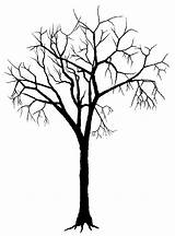 Tree Silhouette Branch Clip sketch template