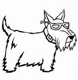 Coloring Pages Dog Terrier Cairn Real Puppy Getcolorings Printable Getdrawings sketch template
