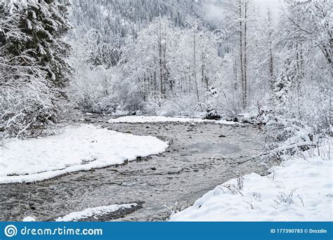 White Scene Of Winter Beauty Snow Forest Inside The River