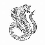 Snake Cobra Zentangle Coloring Tattoo Stress Anti Ethnic Ornament Doodle Book Children Adult Vector Shirts Illustration Tattoos Designs Dragon Skull sketch template