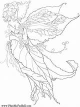 Coloring Fairy Pheemcfaddell Fairies sketch template