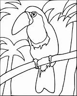 Toucan Birds Kolorowanki Tukan Dzieci Coloringbay Animals sketch template