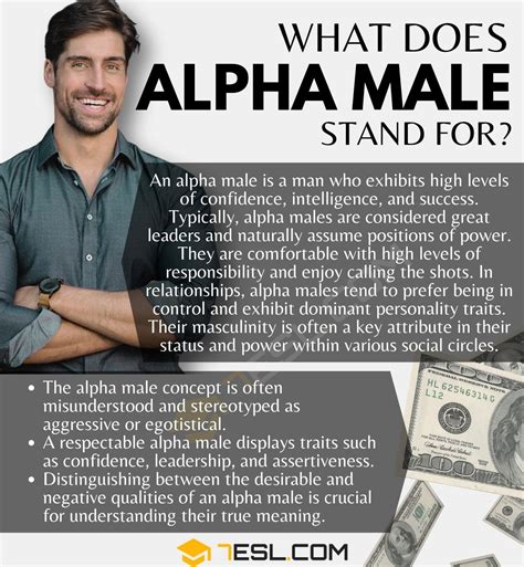 alpha male meaning   alpha male  esl