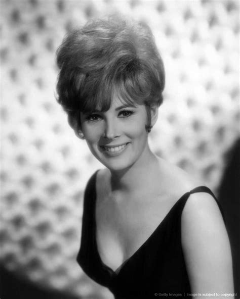60 Hot Pictures Of Jill St John Are Truly Work Of Art
