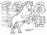 Pages Horse Coloring Morgan Printable Getcolorings Selected sketch template