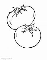Vegetable Fruits sketch template