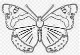 Admiral Butterfly Red Constantine Primary Bird Templates sketch template