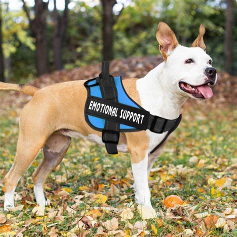 service dog vests   pawgearlab