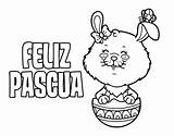 Pascua Feliz Pascuas Felices Pasqua Deseo Tarjetas Huevos Buona Conejo Colorare Preescolar Acolore Celebracion sketch template