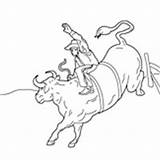 Bull Riding Coloring Pages Drawings Rodeo Bucking Drawing Lane Bullriding Colouring Rider Frost Color Surfnetkids Country Homeschool Kindergarten Printable Getdrawings sketch template