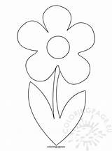Flowers Coloring Coloringpage Stems Breezy sketch template