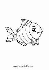 Fisch Fische Ausmalbild Ausmalbilder Schuppen Gestreifter Malvorlage Malvorlagan sketch template