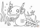 Axolotl Coloring Cartoon Pages Printable Kids Fish Animal Newt Click Drawing Designlooter Neds Salamander Mexican Version Walking 1186 41kb 333px sketch template