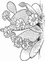 Cactus Coloring Pages Flower Flowers Printable sketch template