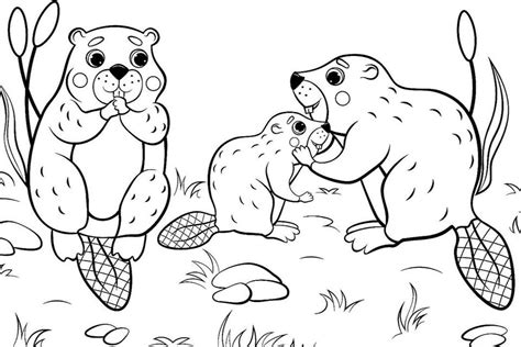 wildlife printable coloring pages