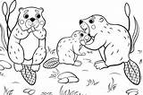 Coloring Animal Pages Printable Families Fun 30seconds Everyone Print Printables Mom sketch template